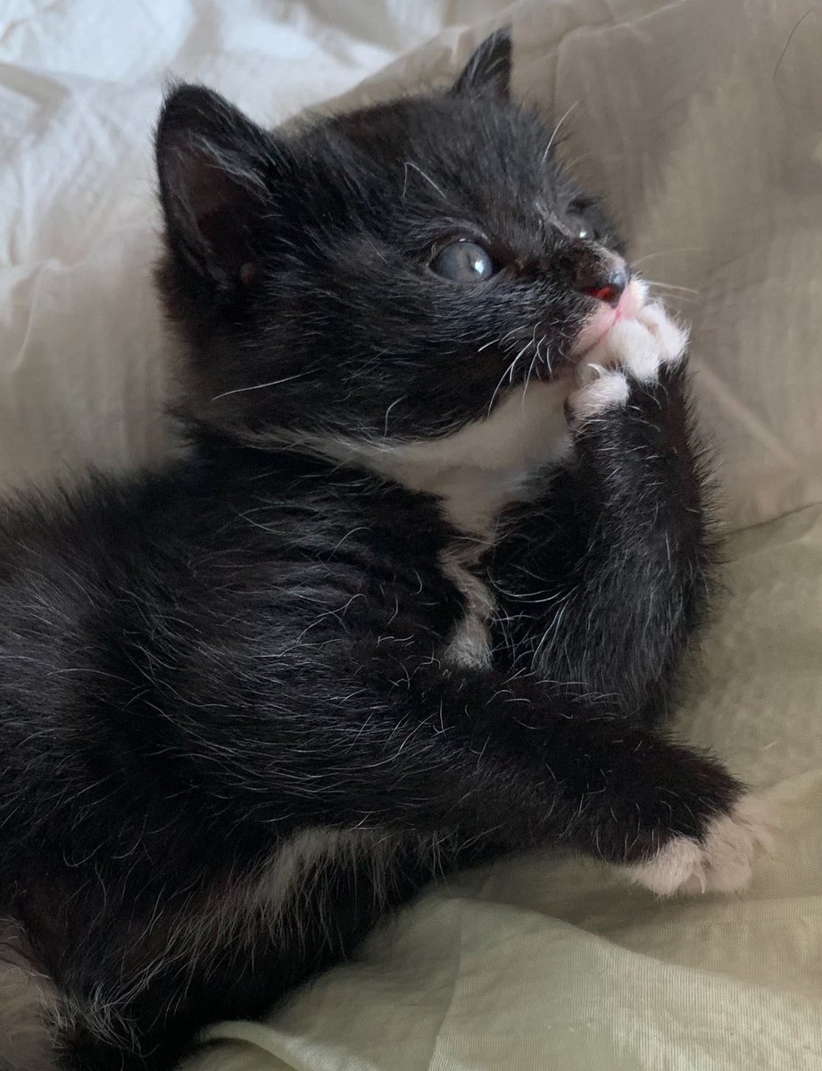 택배 상자를 든 네오 tweet media