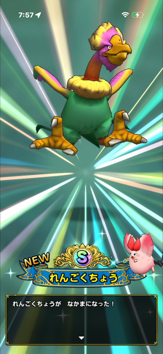 🌼はる🌼本垢🌼 tweet media