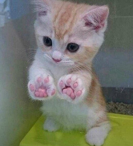 택배 상자를 든 네오 tweet media