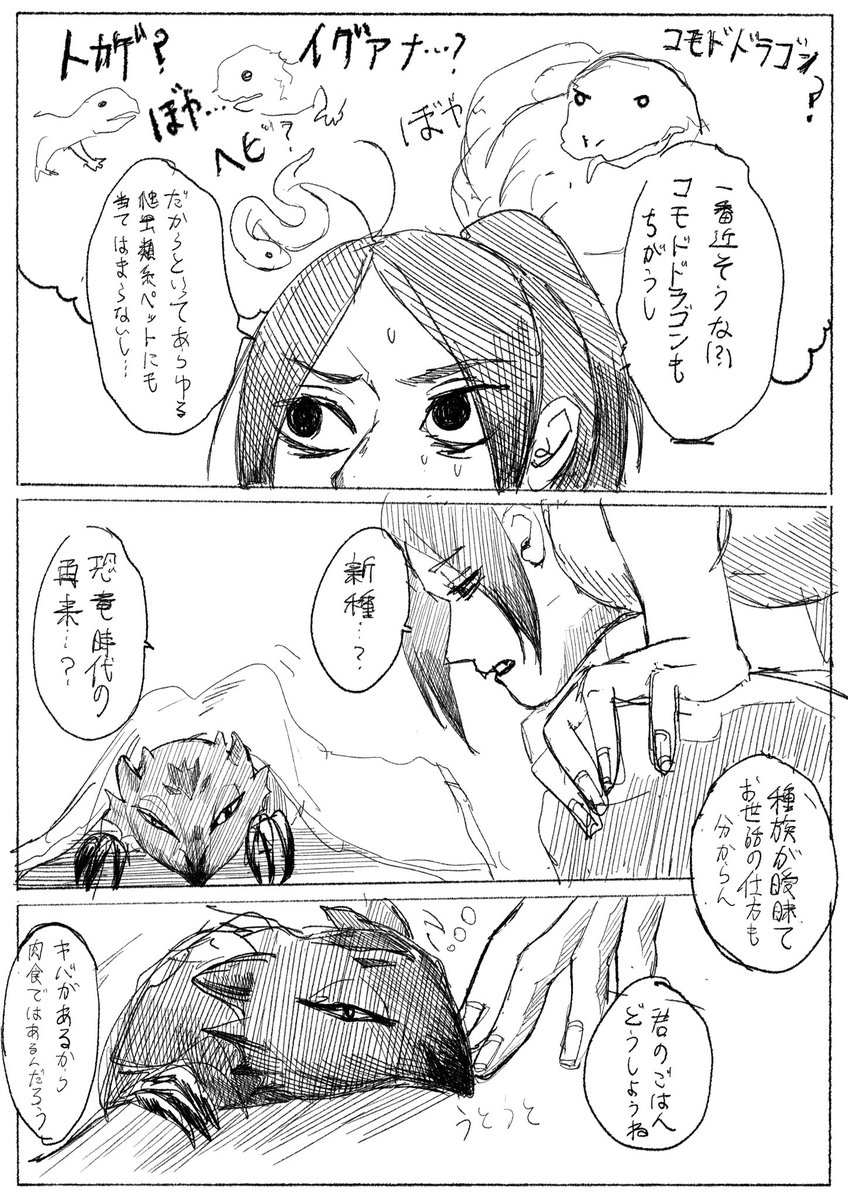 家庭科のエプロン tweet media