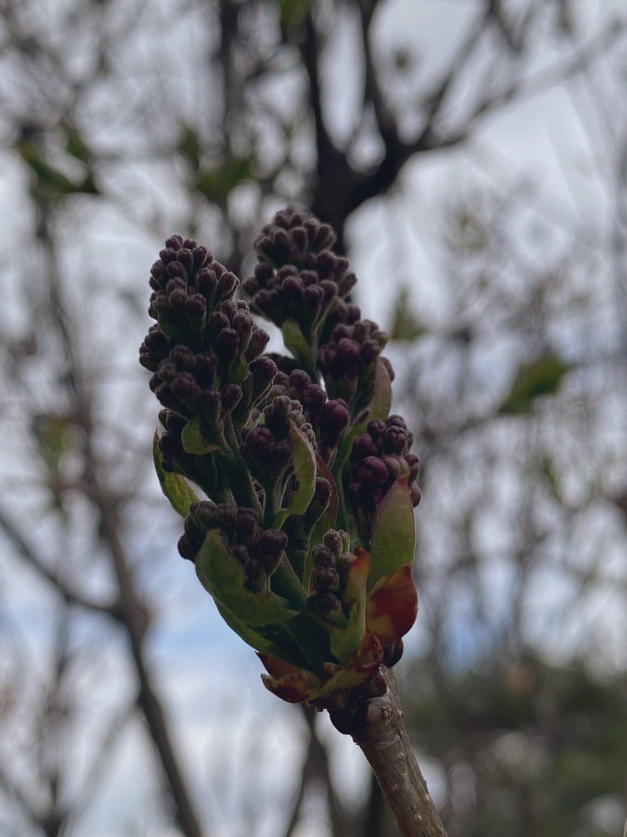 Leelimdae🕯️🎗️ tweet media