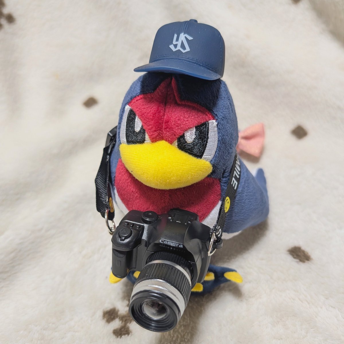 ちか⚾🌸☂️ tweet media