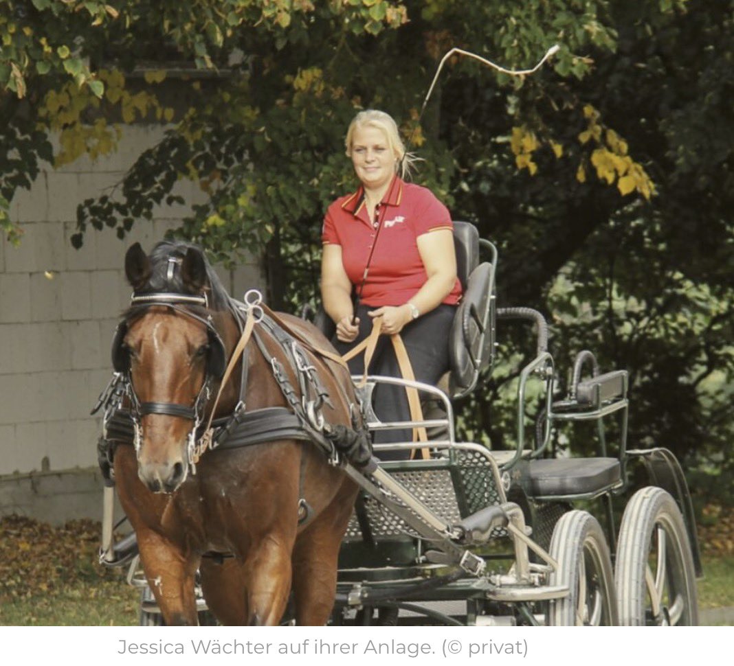 Catherine Lysistrata tweet media