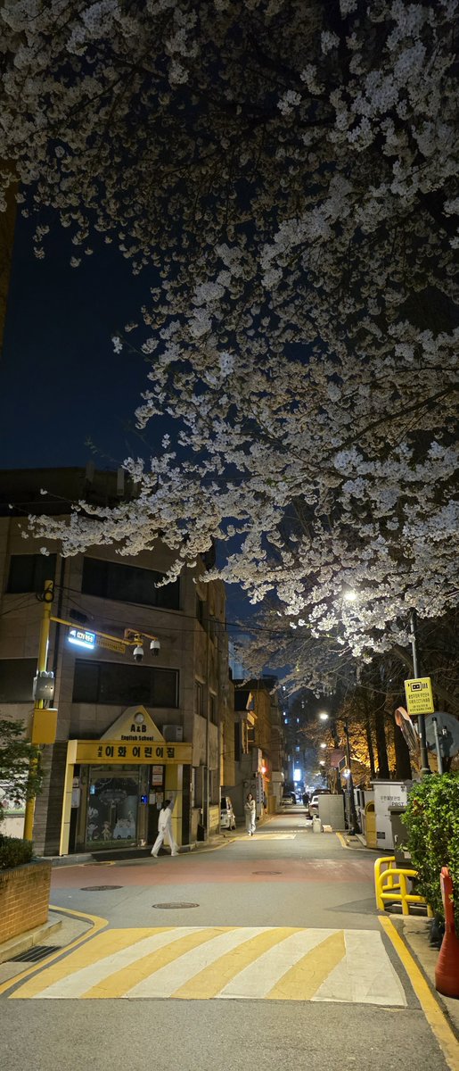 척척석사 tweet media