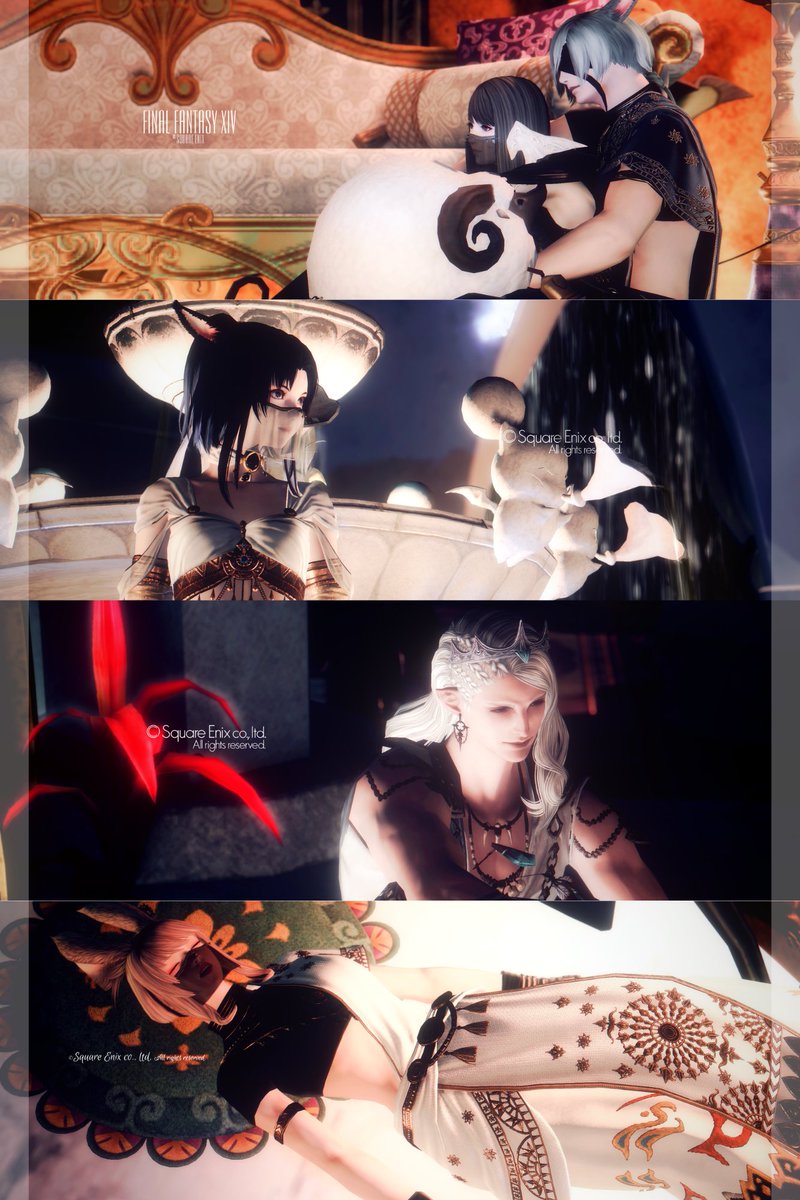 フィル tweet media