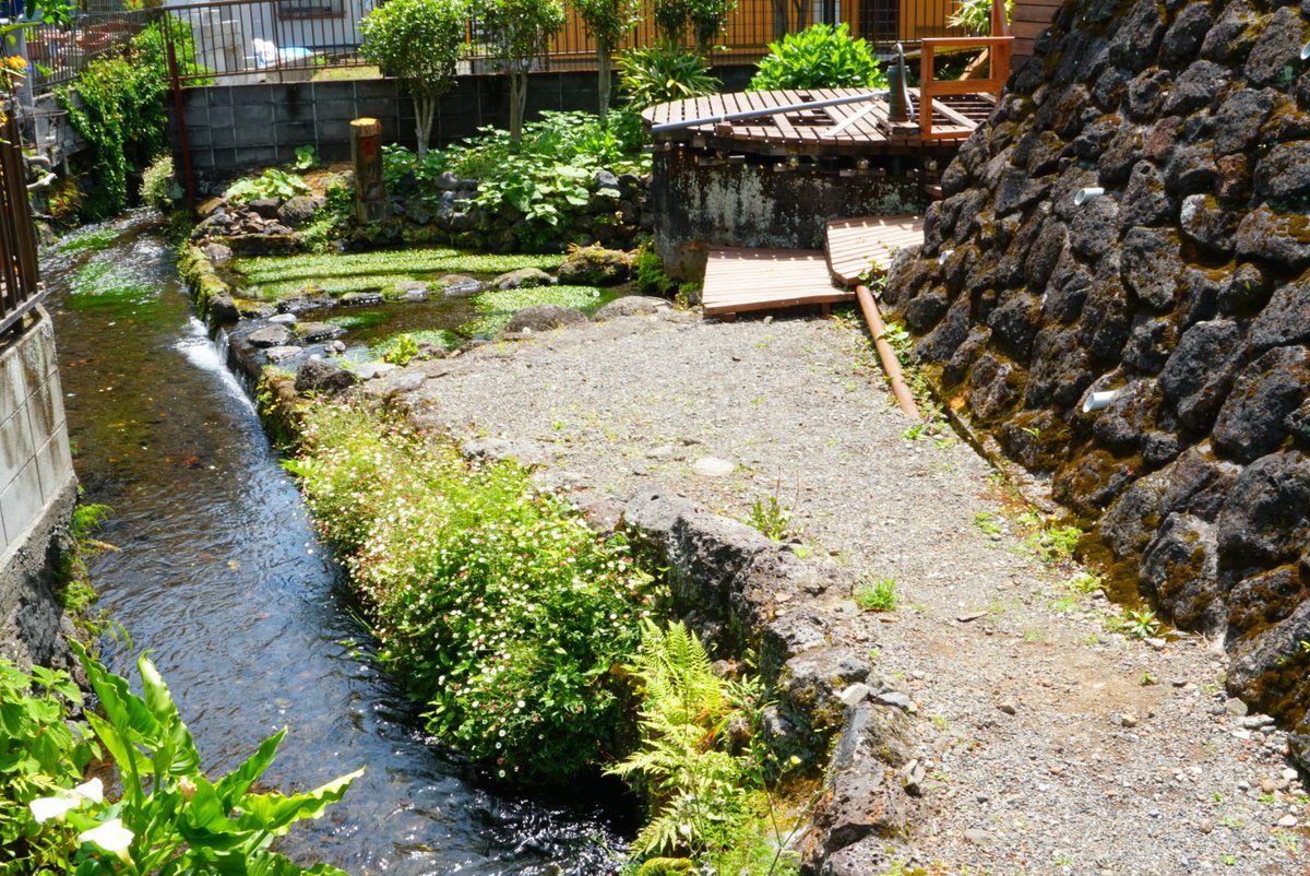 函南のえのさん🌸🗻浜松と伊豆市を旅したい tweet media