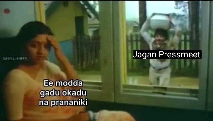 Rebel 🏹 tweet media