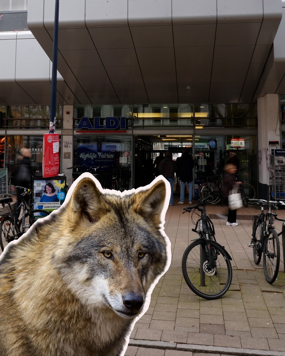 DW 中文- 德国之声 tweet media