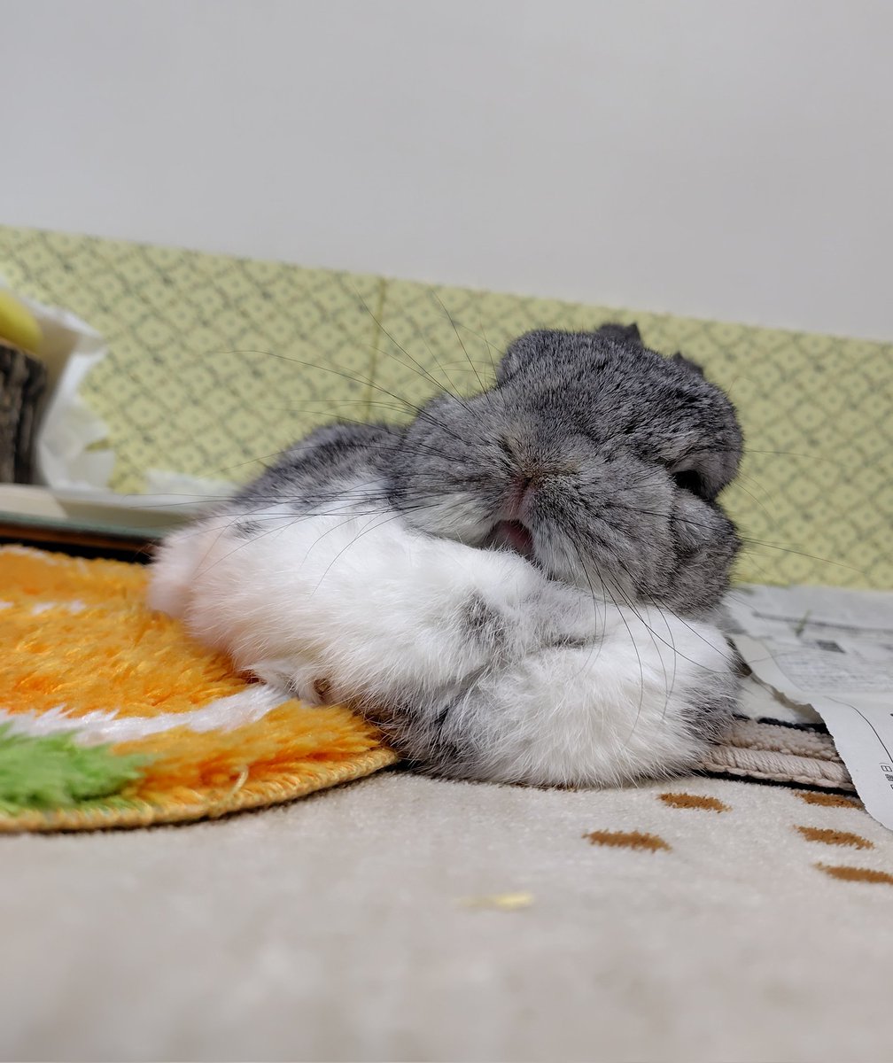 ミントミント tweet media