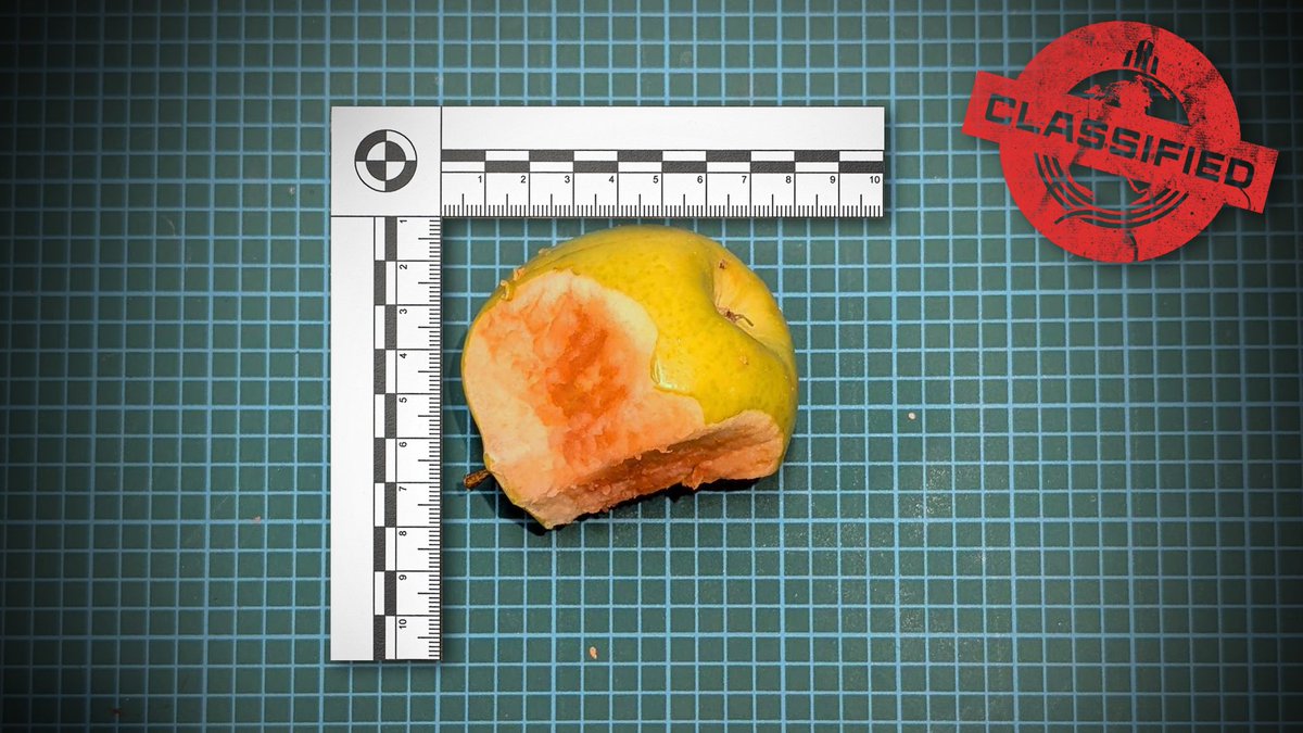 HELLDIVERS™ 2 tweet media