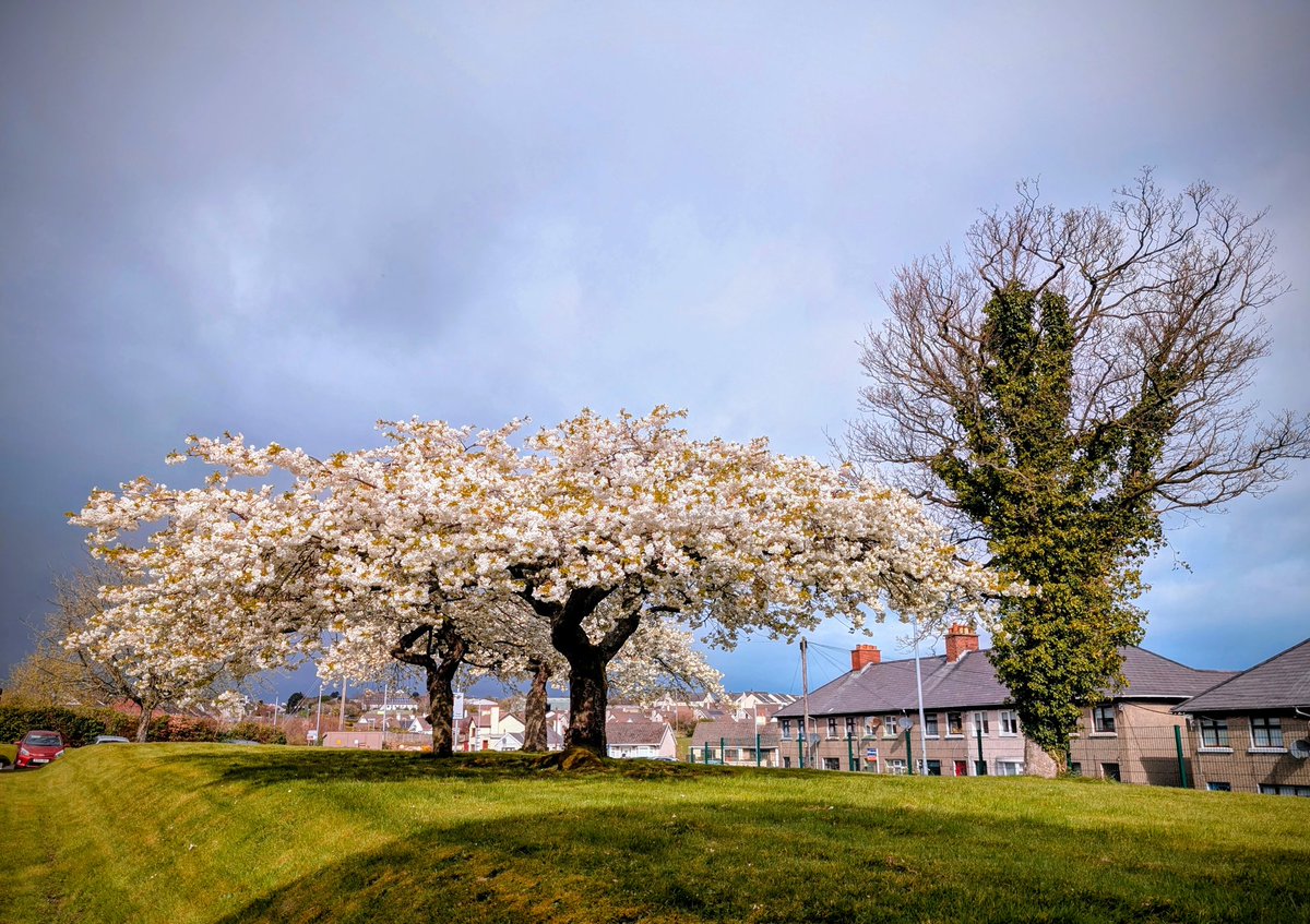 Anne Kelly ⛔NO DMs⛔ unless I know or follow you. tweet media