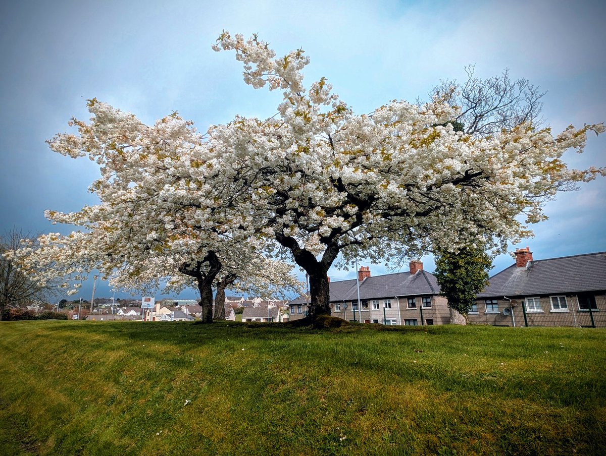 Anne Kelly ⛔NO DMs⛔ unless I know or follow you. tweet media