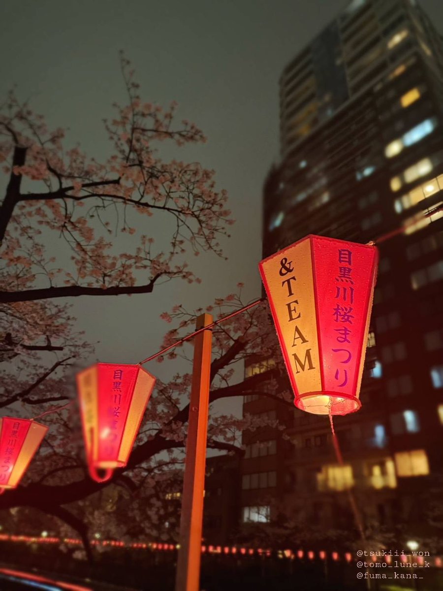 ‎‧₊˚✦かなふま𝚍𝚊𝚒𝚜𝚞𝚔𝚒𝚍𝚊𝚢𝚘 ✦˚₊‧ tweet media