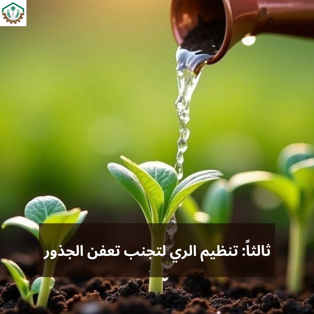 AMMC Agriculture - شركة الآلات والمواد الزراعية tweet media