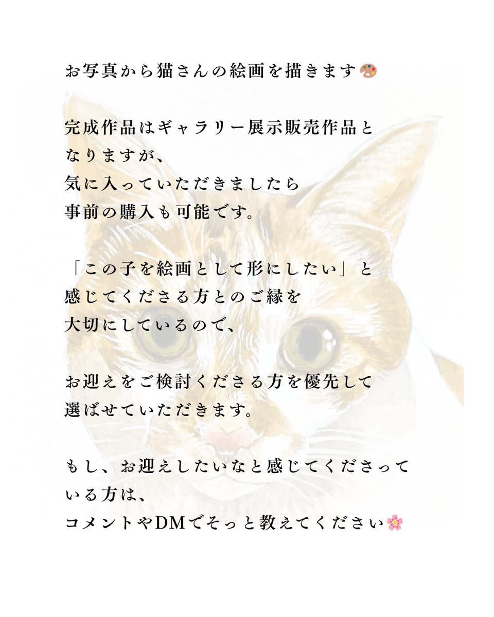 はち・ねこ画家🎨ご依頼受付中 tweet media