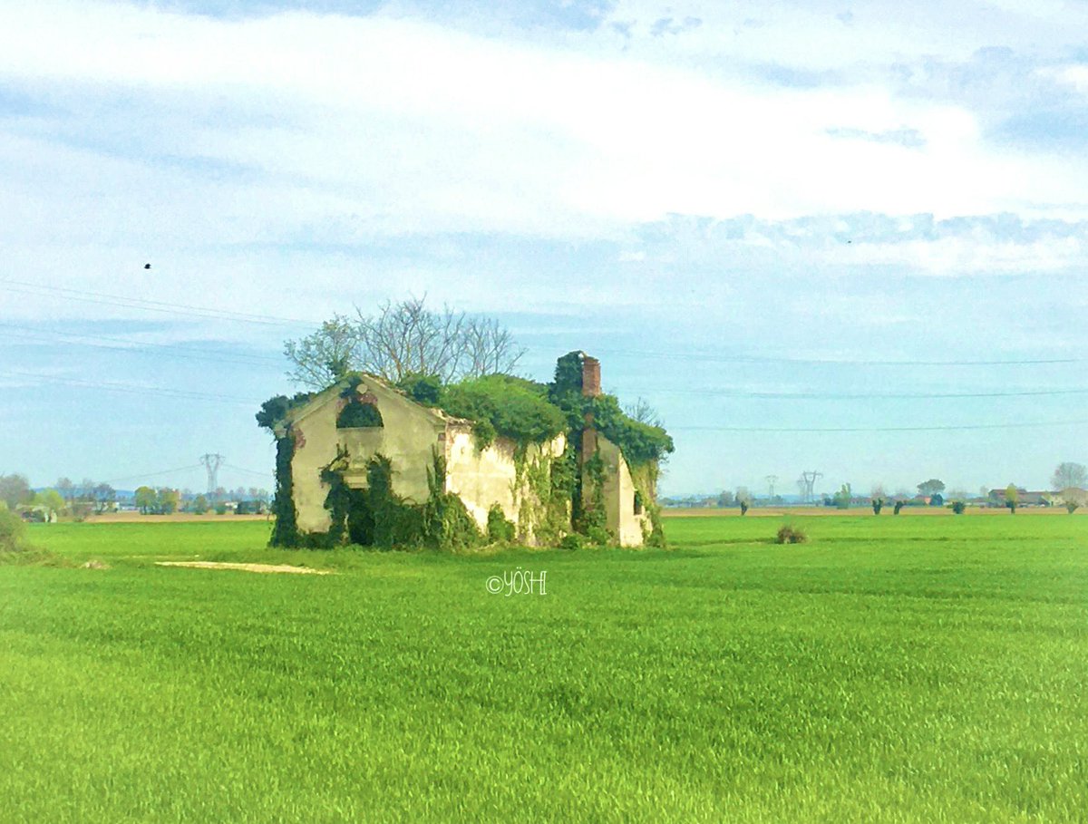 YÖSHI🚙💨 tweet media