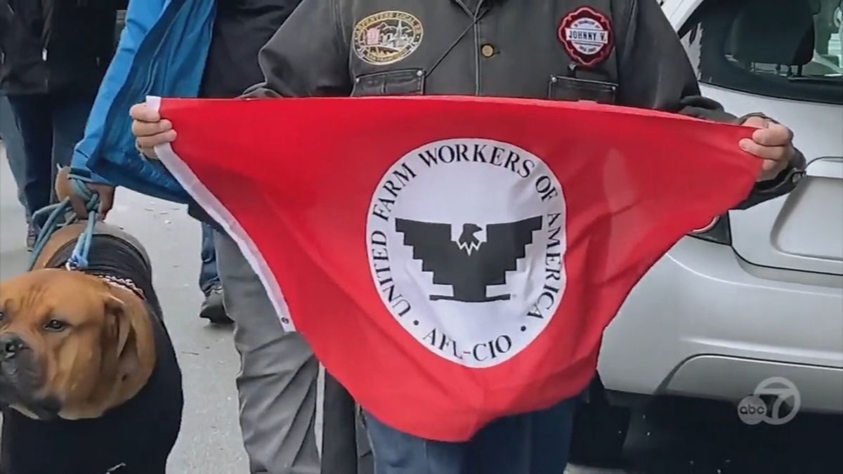 ABC7 News tweet media