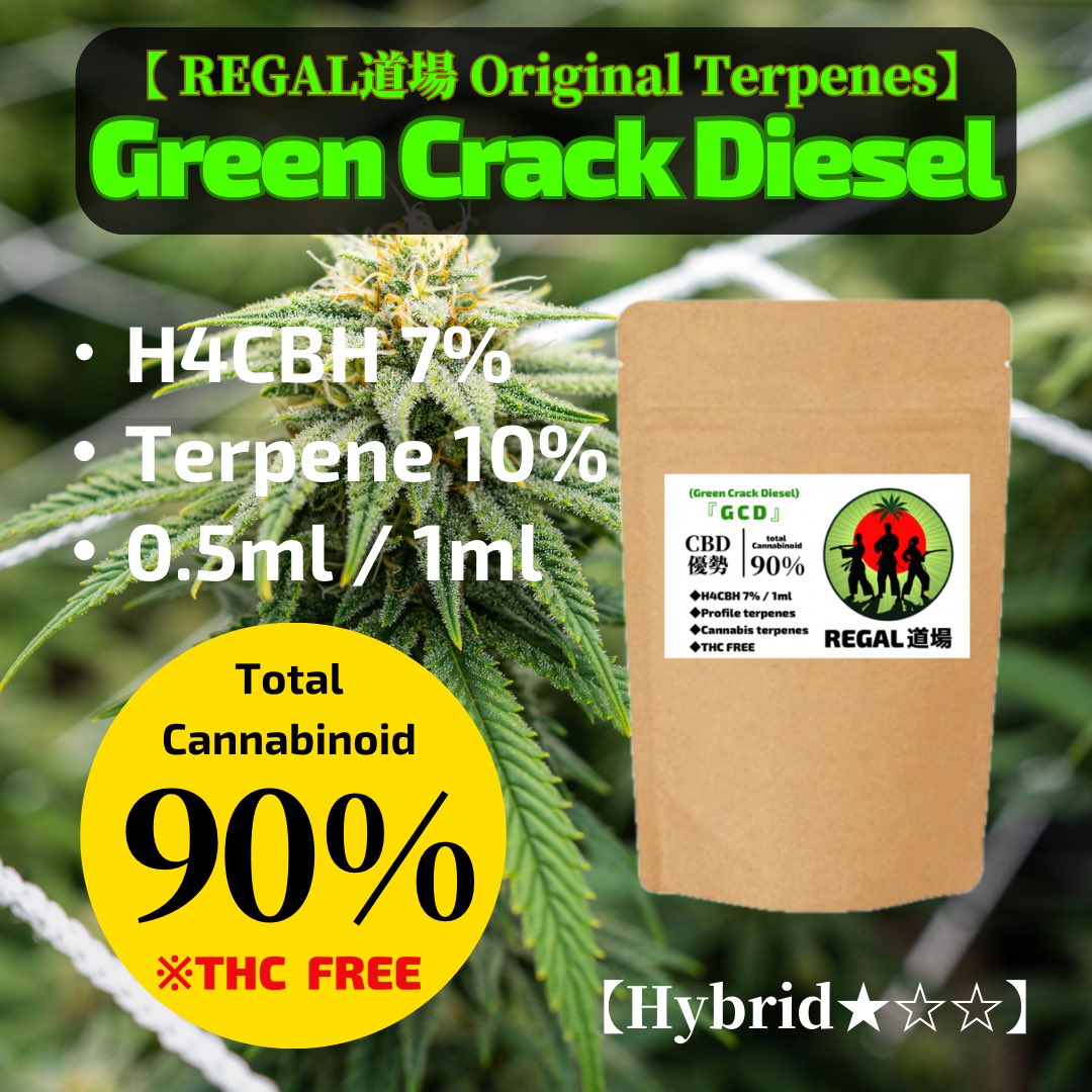 REGAL道場 tweet media