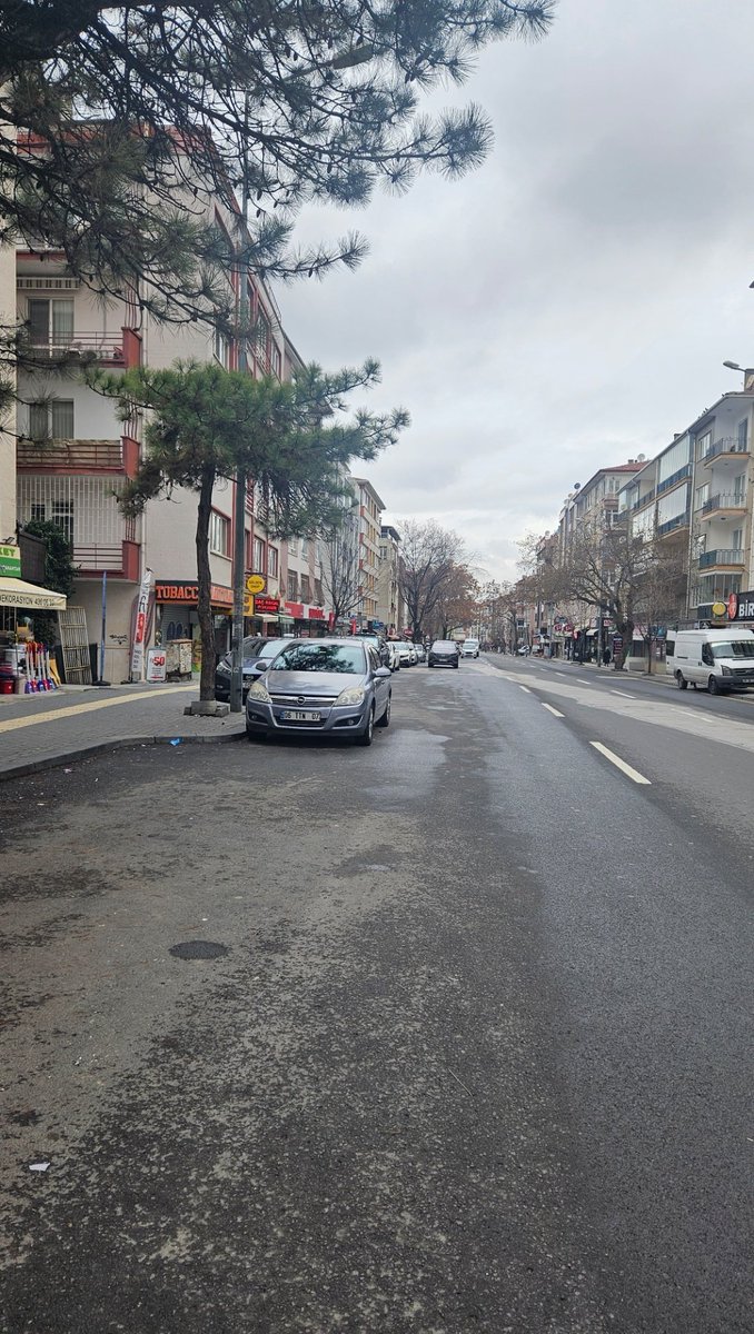 Nes 🇹🇷 tweet media