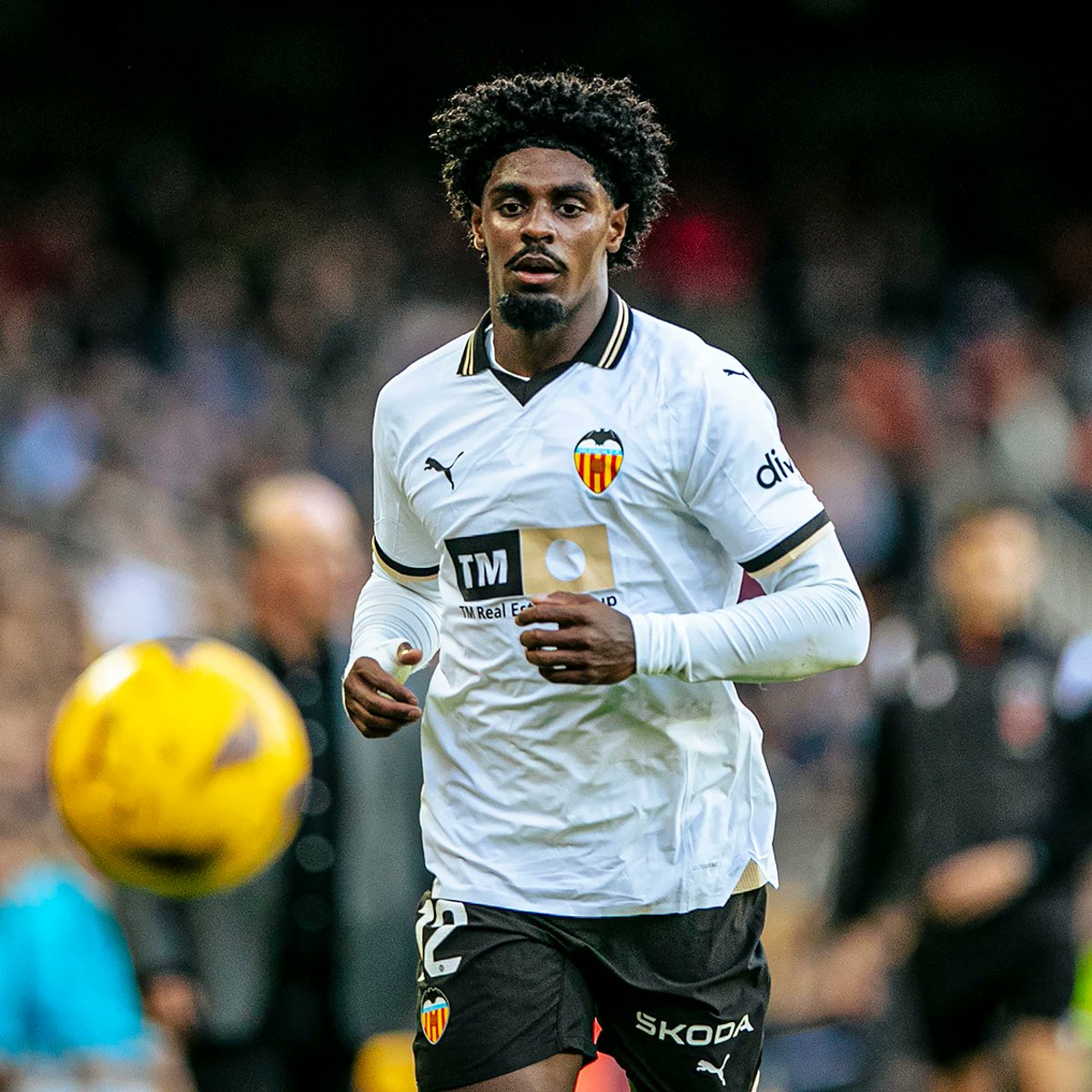 GRADA MESTALLA tweet media