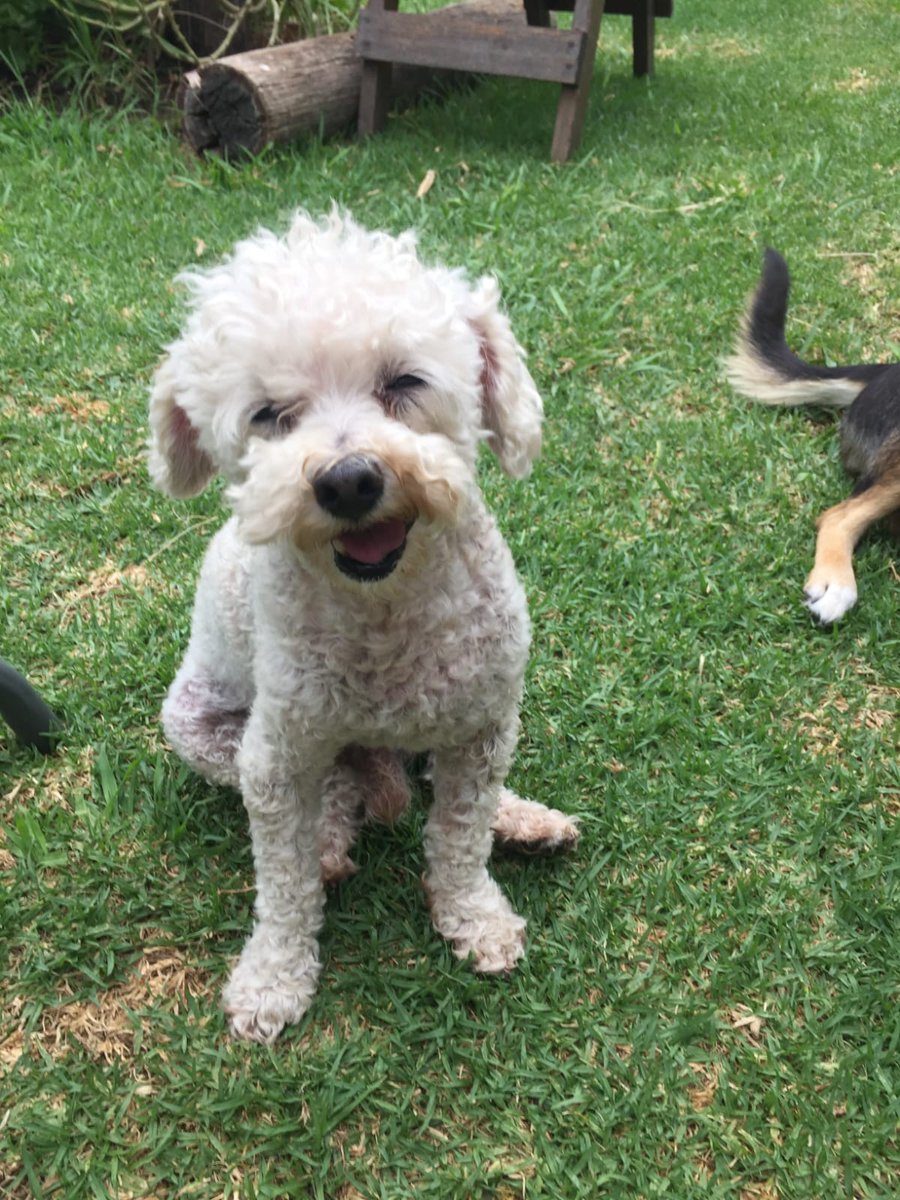 Sil 🌵🌺 tweet media