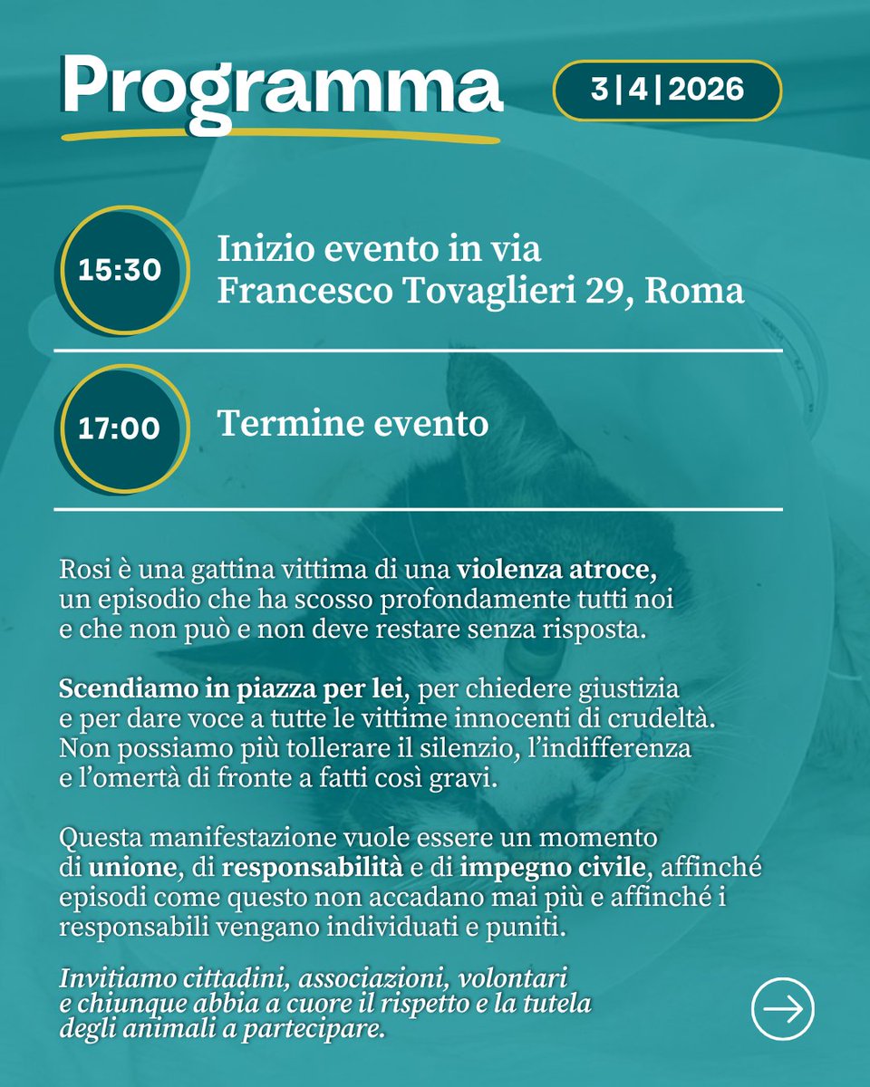 LNDC Animal Protection tweet media