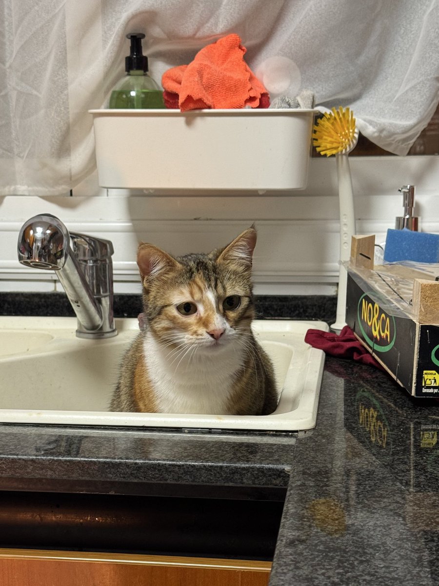 lzzy 🦥✨ tweet media