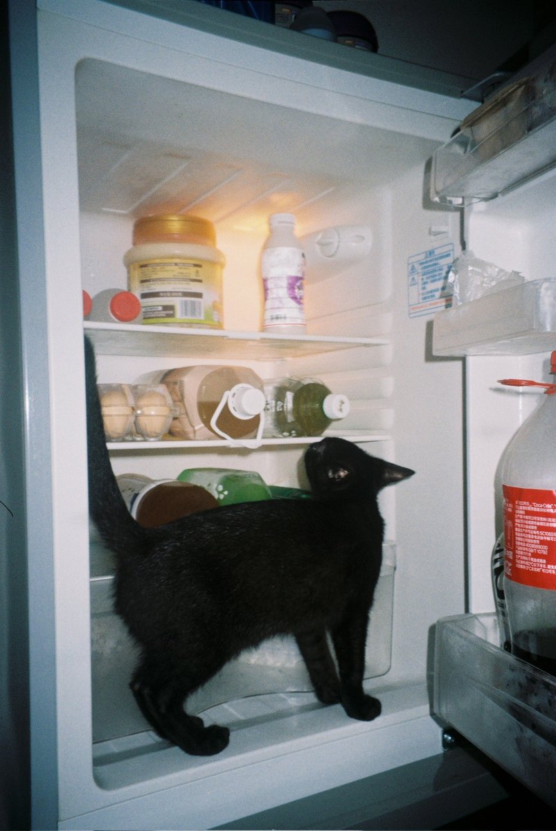 狂恋人妻综合症 tweet media