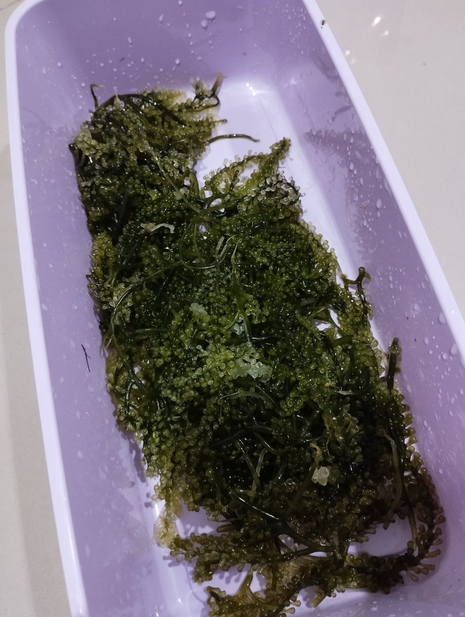 mala is still hungry 🪷 tweet media