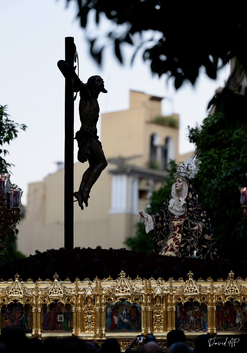 David Arias tweet media