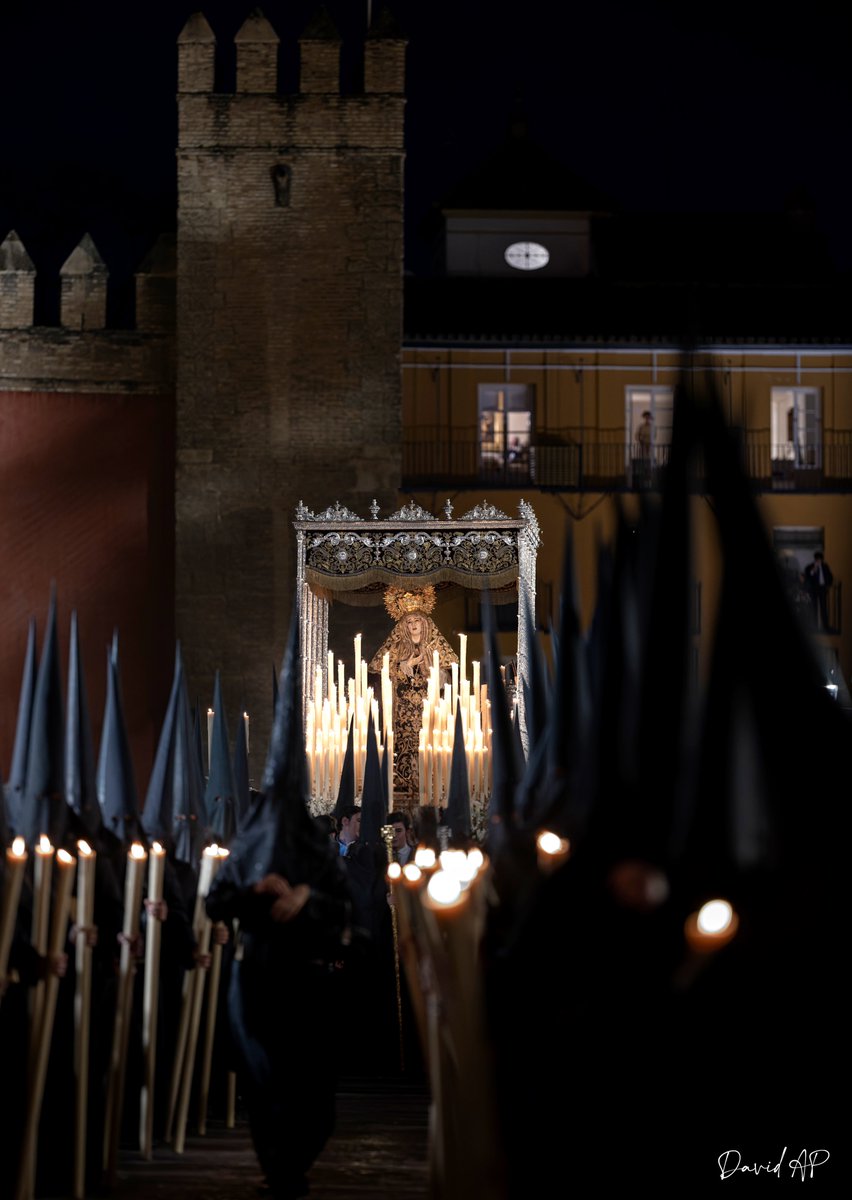 David Arias tweet media