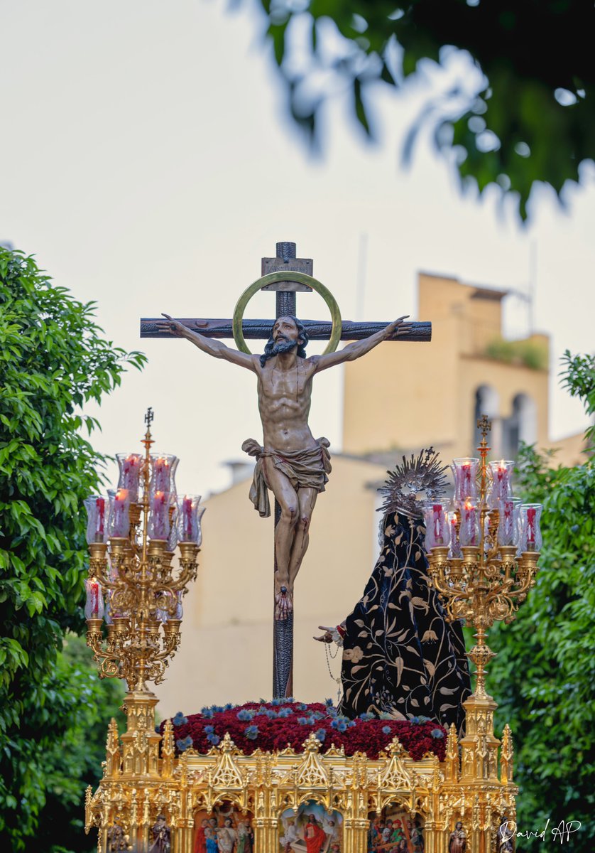 David Arias tweet media