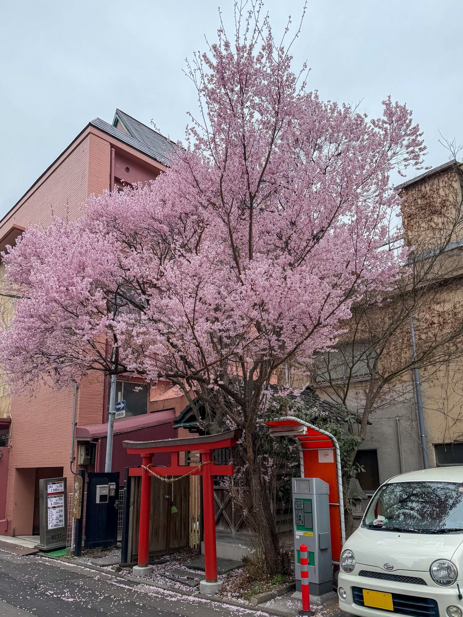 すももやさん@旅人 tweet media