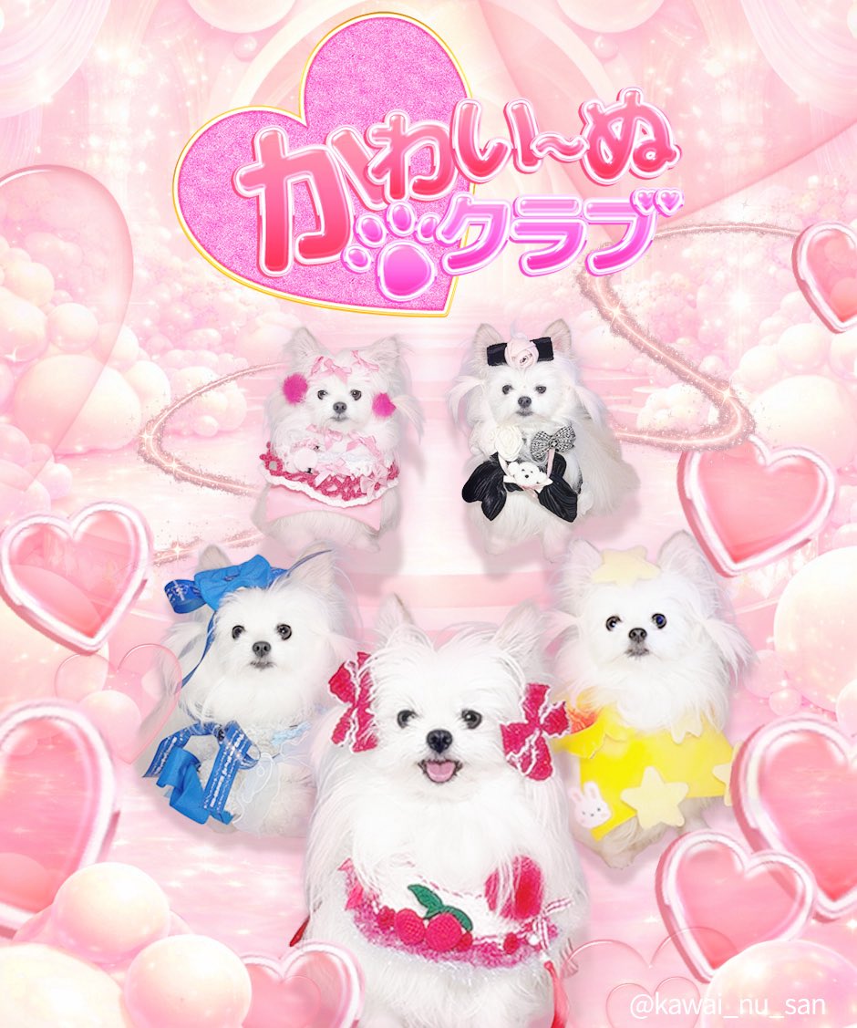 かわいーぬ tweet media