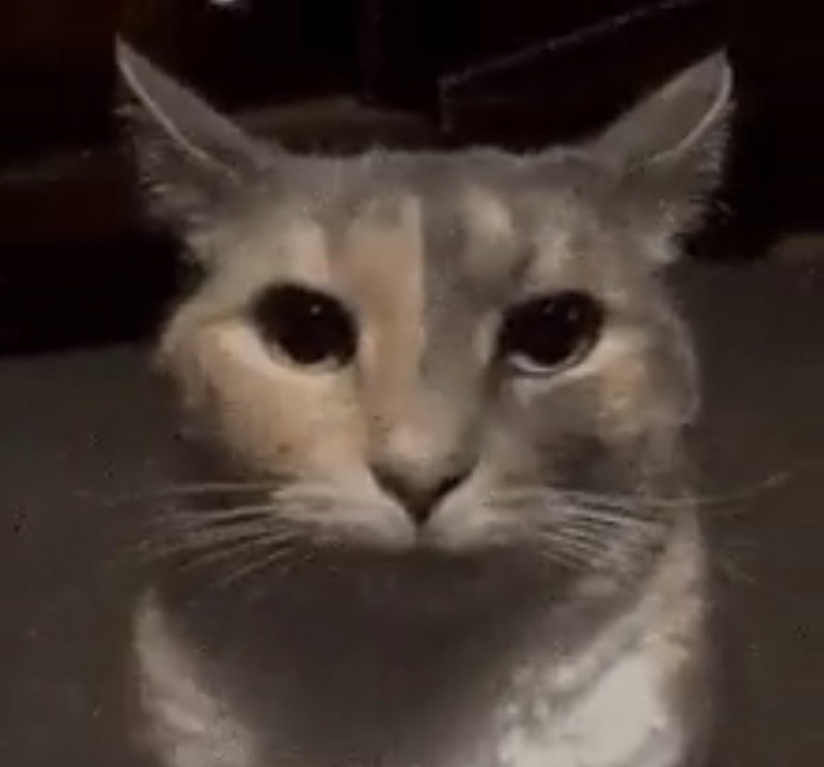 Randy Rhoades tweet media