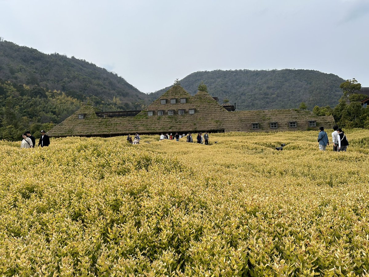 hiro_copen880's tweet photo. 一昨日は弾丸日帰り滋賀旅行へ
三大和牛の近江牛のランチをいただきました
友人がソフトクリームを注文し1分も経たずして鳶に襲撃されました https://t.co/nQKpKc6VvT