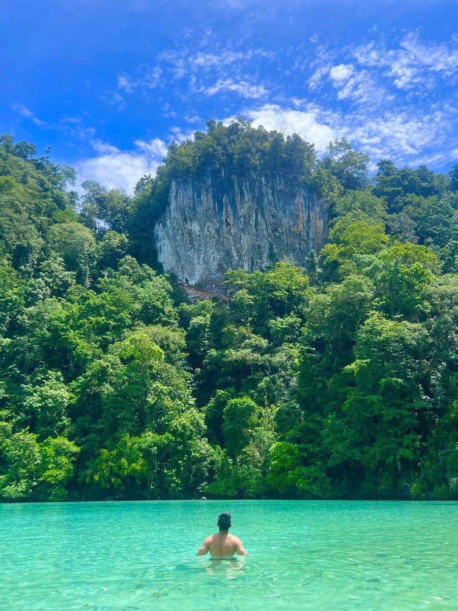 Heng Zhang tweet media