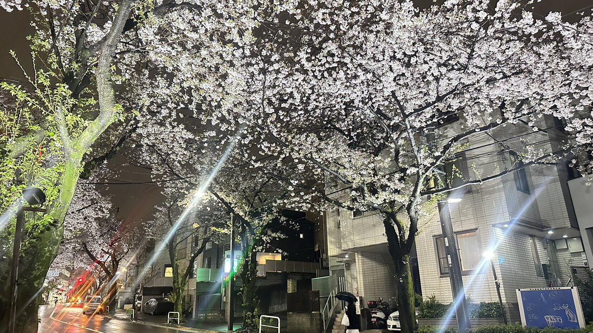 nana🌿 tweet media