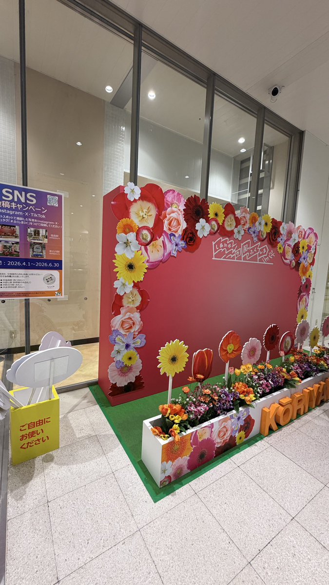 けんせー（趣味活動休眠中） tweet media