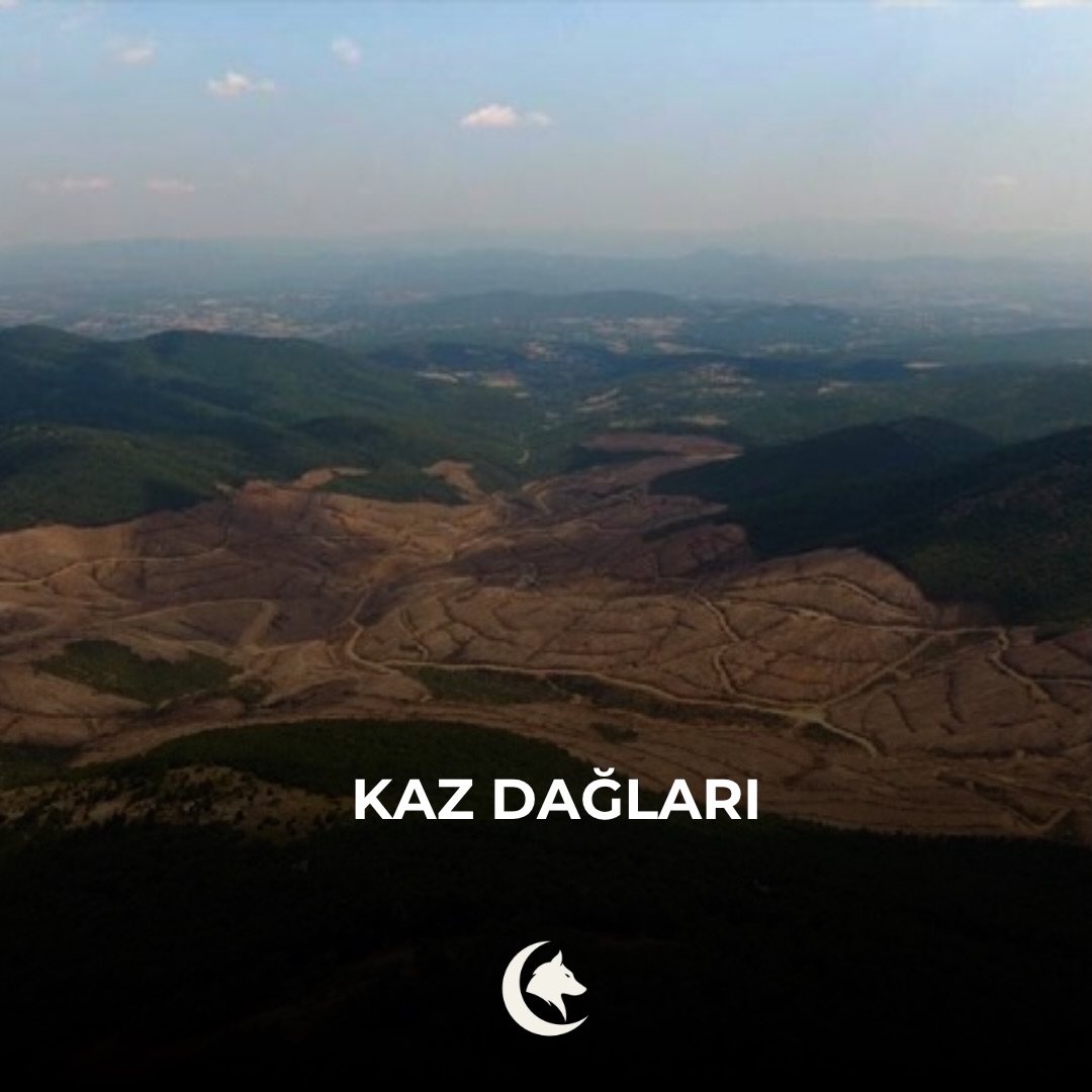 Süreyya Topçu 🇹🇷 BEŞİKTAŞ 🦅Vatan 11 Mekan 41 tweet media