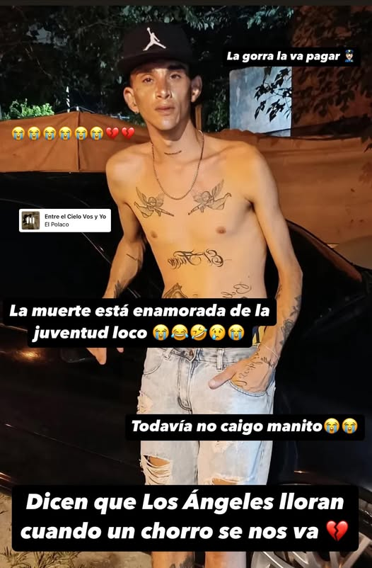 MANDANGA CON V DE VENGANZA tweet media