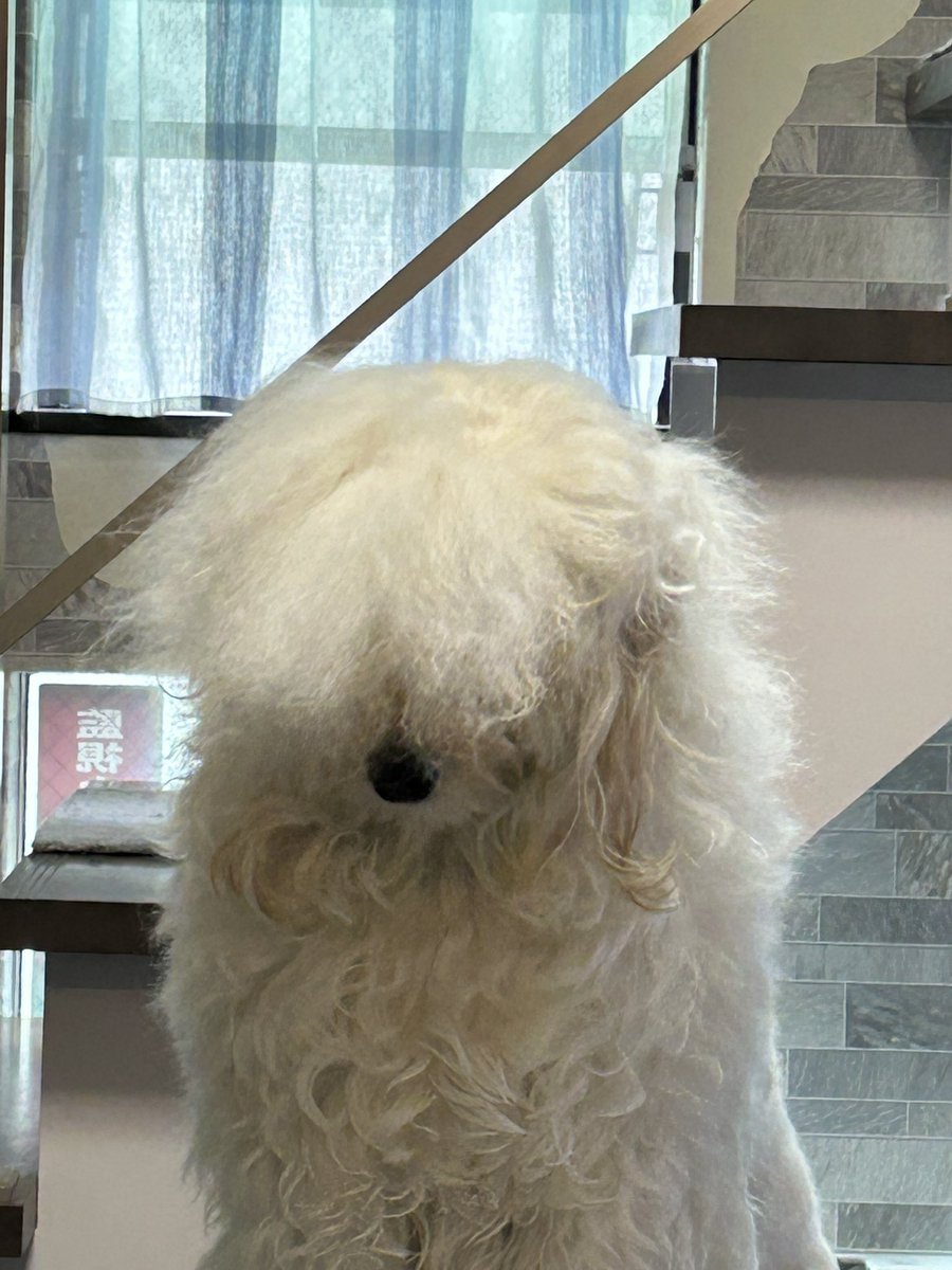 うにかに@夫婦でゲーム実況 tweet media