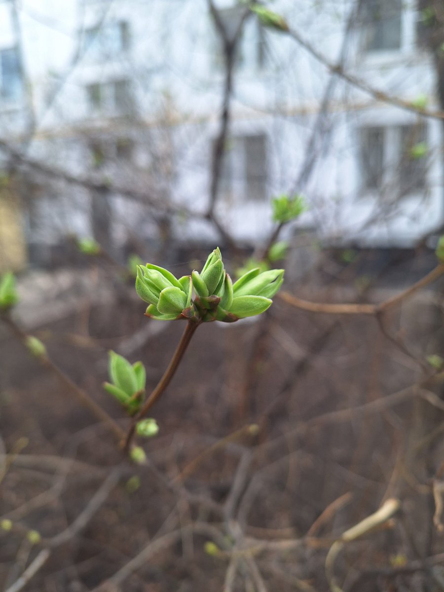 Cherry`🫧 tweet media