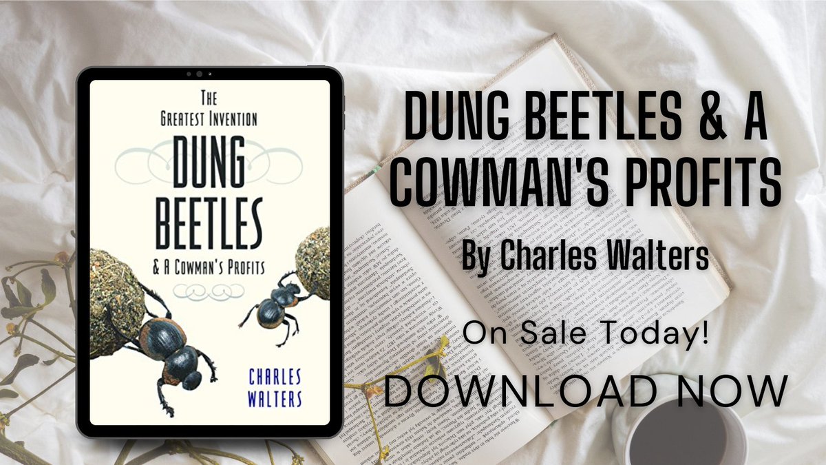 February the Fifth tweet media