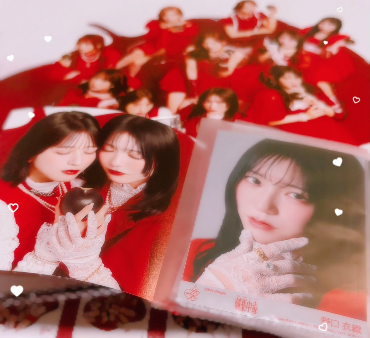 ﾐﾐﾁｬﾝ🌱ꪔ̤‎ tweet media