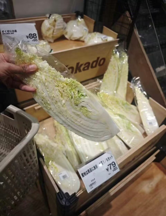 磊哥聊政经 tweet media