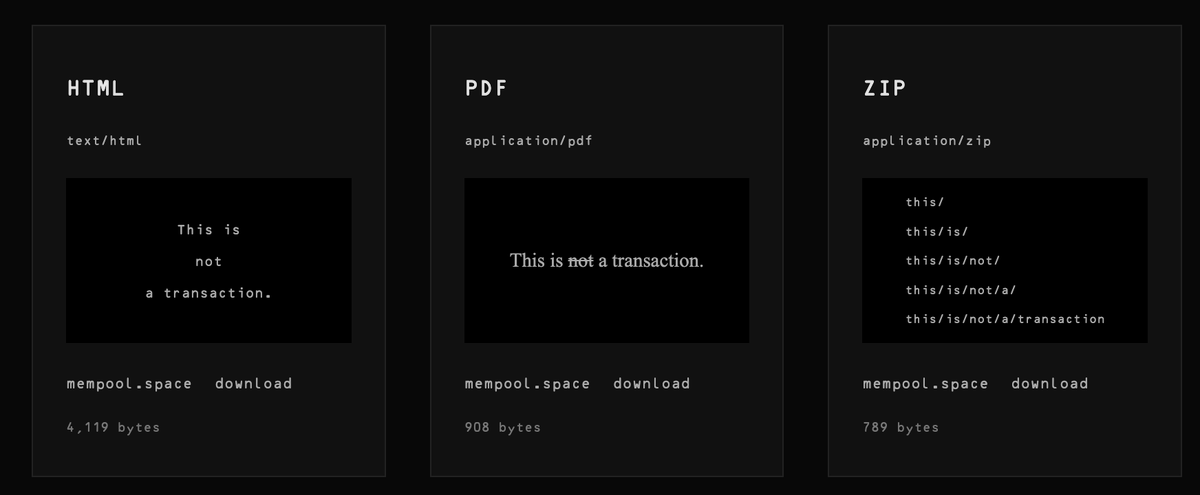 Zeroichi Arakawaによる《no extension》は、Bitcoinトランザクションそのものを作品とする実践。ブロックに記録されたデータは、HTML、PDF、ZIPとしても成立する構造を持ち、ファイルとして読み出すことができる。作品はこのデータを取得し、その二重性を確認する観測行為によって成立する