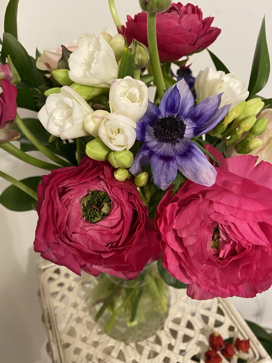 marisa biancotti tweet media