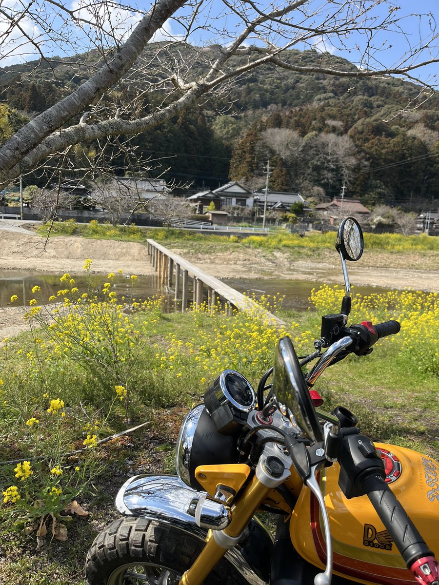 こころ tweet media