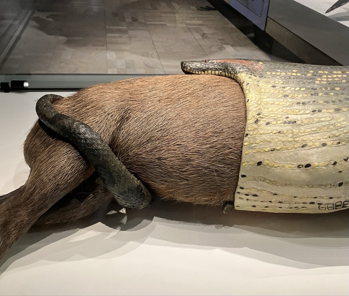 Frau Siebenhals tweet media